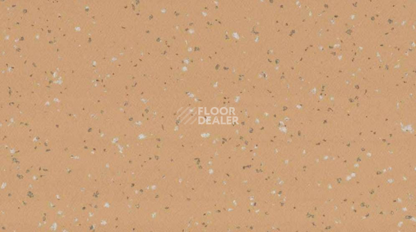 Линолеум Taralay Premium Compact Indiana 8262 RODRIGUES фото 1 | FLOORDEALER